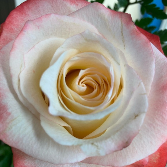 Meet your Posher, Le'kita - Picture 1 of 1